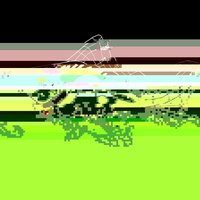 www.realorgansdirect.com screenshot, image №1216077 - RAWG