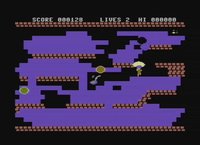 Beatnik Bert (C64) Commodore 64 screenshot, image №2301766 - RAWG