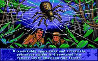 Arachnophobia (1991) screenshot, image №747370 - RAWG