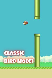 Flappy Bird (itch) (Giampy) screenshot, image №3597702 - RAWG