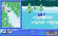 Games: Winter Challenge screenshot, image №340085 - RAWG