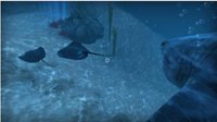 VR Shark screenshot, image №2367125 - RAWG