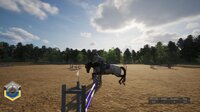 Unbridled: That Horse Game screenshot, image №4163591 - RAWG