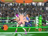 Real Women Boxing Mayhem screenshot, image №908676 - RAWG