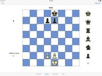 Pawn Endgame for Syzygy 6 screenshot, image №2137227 - RAWG
