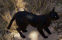 Nine Lives (Lisa Smedman) screenshot, image №1291395 - RAWG