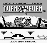 Turn and Burn: The F-14 Dogfight Simulator screenshot, image №752234 - RAWG