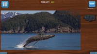 Bepuzzled Jigsaw Puzzle: Aquatic screenshot, image №2013838 - RAWG