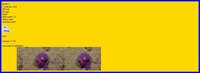 cuttlefish clicking simulator screenshot, image №2420273 - RAWG