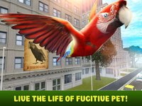 City Parrot Simulator 3D screenshot, image №1333257 - RAWG