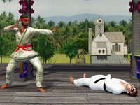 Karate Fighting Art - Kung Fu Ninja Tiger actions screenshot, image №926649 - RAWG
