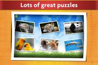 Animals Jigsaw Puzzles Game - For Kids & Adults 🐇 screenshot, image №1467614 - RAWG