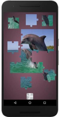 Real Dolphins Game: Jigsaw Puzzle 2019 screenshot, image №1965966 - RAWG