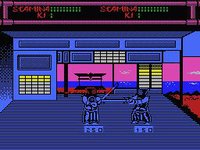 Budokan: The Martial Spirit (1991) screenshot, image №747732 - RAWG
