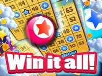 Bingo Candy Fun Blast screenshot, image №895639 - RAWG