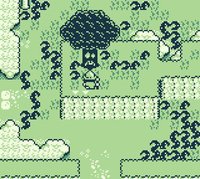 Deep Forest screenshot, image №2303623 - RAWG