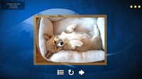Puppy Dog: Jigsaw Puzzles screenshot, image №146158 - RAWG