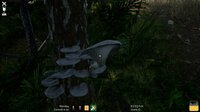 Mushroom Season screenshot, image №4072112 - RAWG