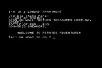 Pirate Adventure screenshot, image №756684 - RAWG