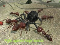 Ant Simulation 3D screenshot, image №937438 - RAWG