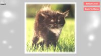 Cats Epic Puzzles screenshot, image №1323553 - RAWG