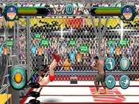 Wrestling Cage Revolution Game screenshot, image №908862 - RAWG