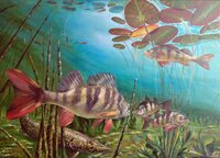 Real fishing screenshot, image №3445105 - RAWG