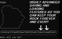 My Pet Rock (itch) (Squant Studios) screenshot, image №2613795 - RAWG