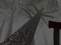 Trapped in the Forest FREE screenshot, image №1525989 - RAWG