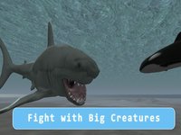 Orca Killer Whale Survival Simulator 3D - Play as orca, big ocean predator! screenshot, image №1625926 - RAWG
