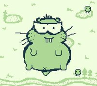 Hamster Footure screenshot, image №2197214 - RAWG