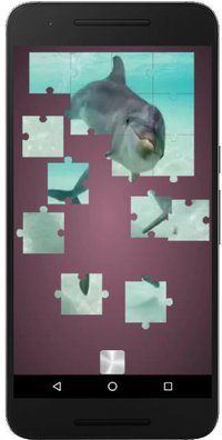 Real Dolphins Game: Jigsaw Puzzle 2019 screenshot, image №1965965 - RAWG