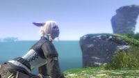 Final Fantasy XIV screenshot, image №532124 - RAWG