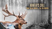 Hunter's Call: Wildlands screenshot, image №3644500 - RAWG