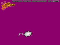 Catch The Mouse Cat Game screenshot, image №1739487 - RAWG