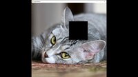 hgmGame-cat screenshot, image №4178171 - RAWG
