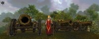 Warhammer Online: Age of Reckoning screenshot, image №434469 - RAWG