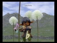 Final Fantasy XI screenshot, image №360954 - RAWG