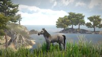 Horse and Go Seek screenshot, image №3336693 - RAWG