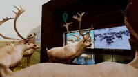 Beyond The Diorama: Caribou World screenshot, image №2676416 - RAWG