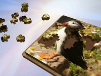 Super Jigsaws Birds screenshot, image №1330783 - RAWG