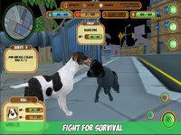 Cat & Dog Simulator screenshot, image №1996617 - RAWG