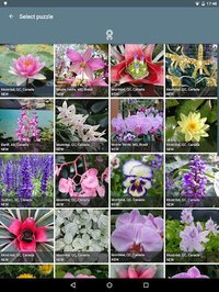 Jigsaw Puzzle: Flowers screenshot, image №1497471 - RAWG