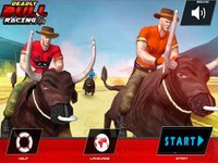 Bull Racing & Riding screenshot, image №2098999 - RAWG