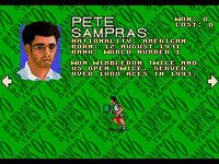 Sampras Tennis 96 screenshot, image №760228 - RAWG