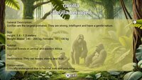 My Life: Zoo Vet screenshot, image №4170580 - RAWG