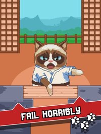 Grumpy Cat's Worst Game Ever screenshot, image №1597316 - RAWG