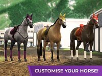 Equestriad World Tour screenshot, image №2605058 - RAWG