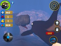 Blue Whale Simulator Game 3D screenshot, image №1615103 - RAWG