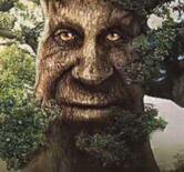 Mystical tree the game screenshot, image №3592905 - RAWG